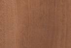macroscopic photograph of wood